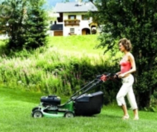 Dịch vụ cắt cỏ, chăm sóc cây cảnh